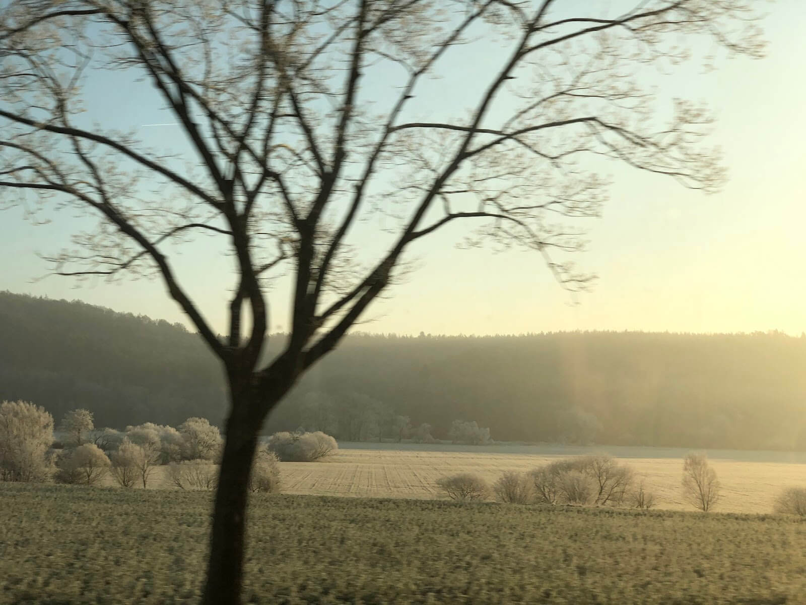 05_Carlo%20Walter_imaginary%20Mansfeld_Iphone_2020_c%20Ralf%20Wendt_BurgVogel