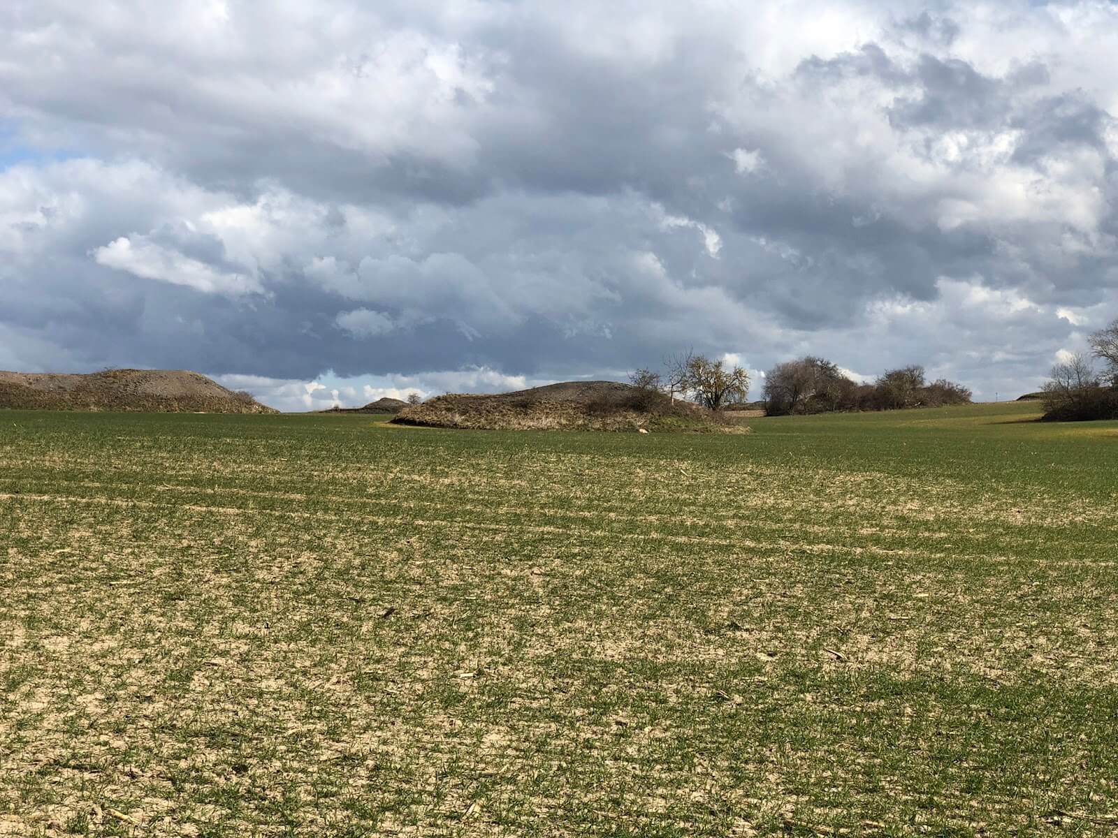 05_Carlo%20Walter_imaginary%20Mansfeld_Iphone_2020_c%20Ralf%20Wendt_BurgVogel