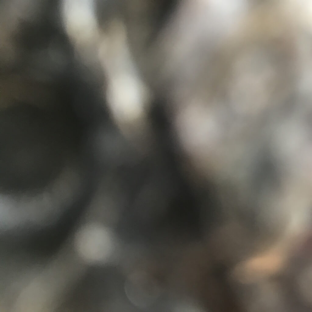 Steinig_StopMotion_0079 1